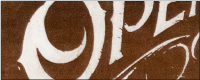VHILS - Logo1 (25x10 cm)